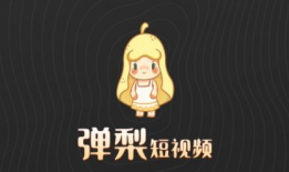 弹梨短视频,揭秘弹幕文化的魅力与影响